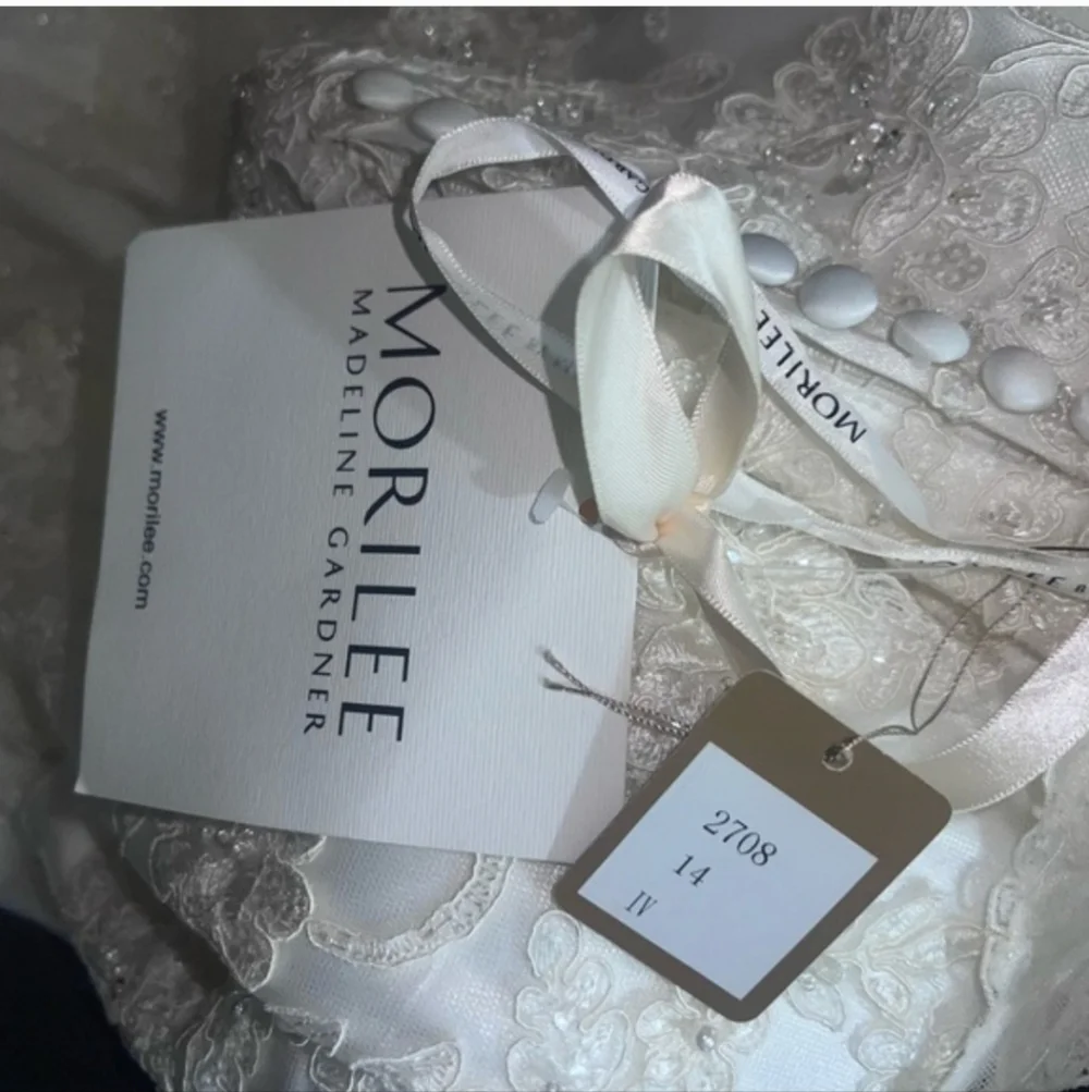 Elegant  Ivory Wedding Dress - Picture 8 of 17